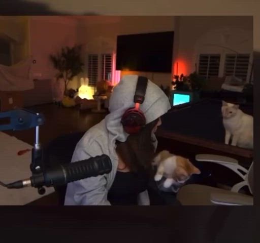 Ass Big Ass NSFW Porn GIF by xhsjsndnxjxnc