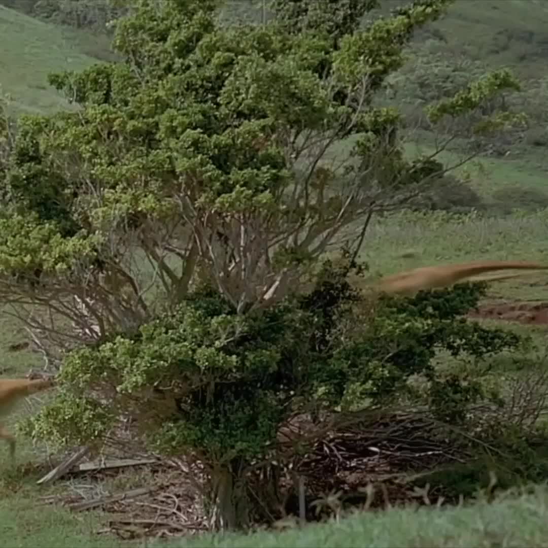 JurASSic Park