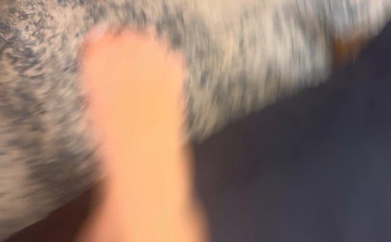 Can I breed you next?