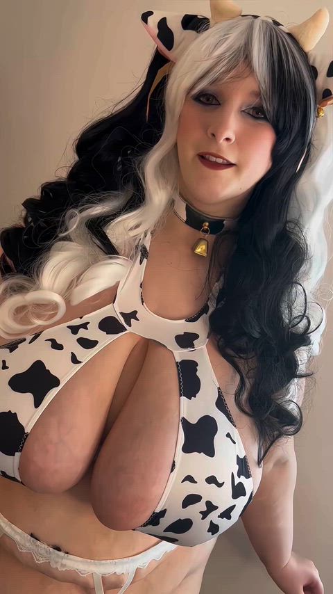 The cow with the biggest udders