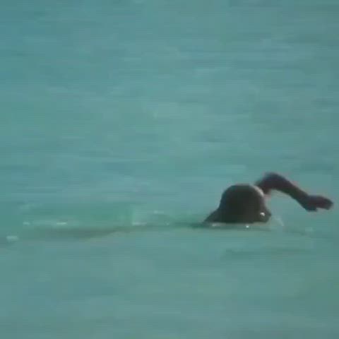 NSFW Tits Wet Wet Pussy Porn GIF by deputyduffy