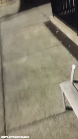 Amateur Big Dick Blowjob Deepthroat Public Real Couple Voyeur r/CaughtPublic Porn GIF by duromami