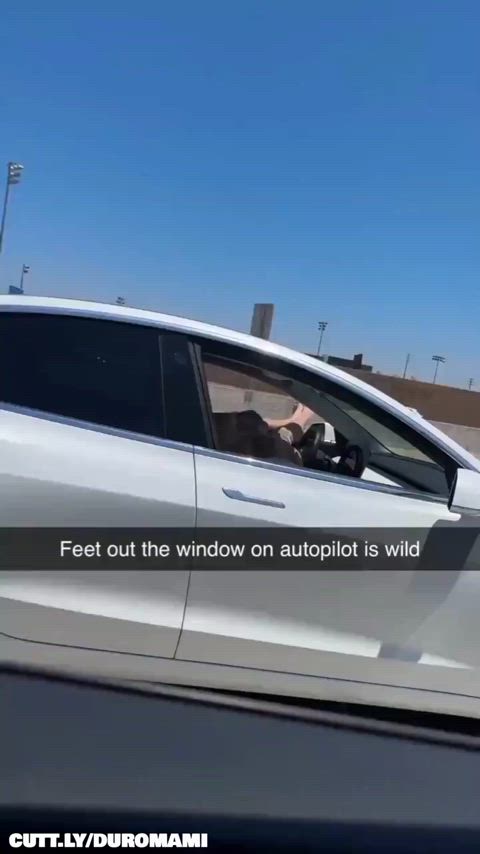 Amateur Blowjob Funny Porn Public Real Couple Trashy Trashy Boners r/CaughtPublic Porn GIF by duromami