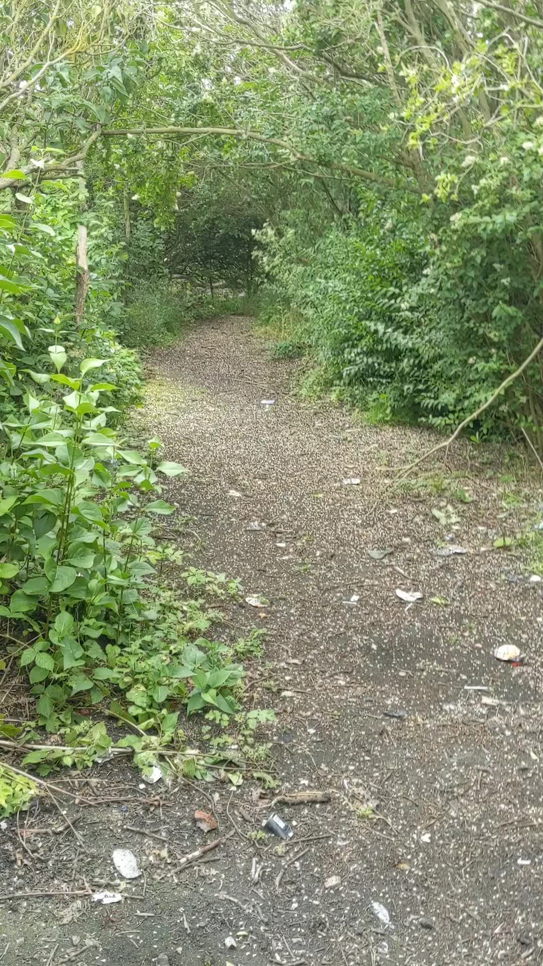 Shirtless chub wank and cum on hiking trail