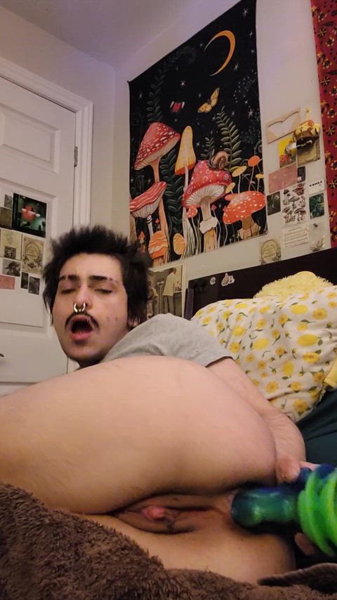 anal loving puppy tboy. X/twt; alfiegapes02. love big toys in my ass, gaping, but keeping my boy pussy tight for my owner♥ 152cm/5ft, 125lbs- 4 ½yrs on T, post top surgery ftm thumbnail