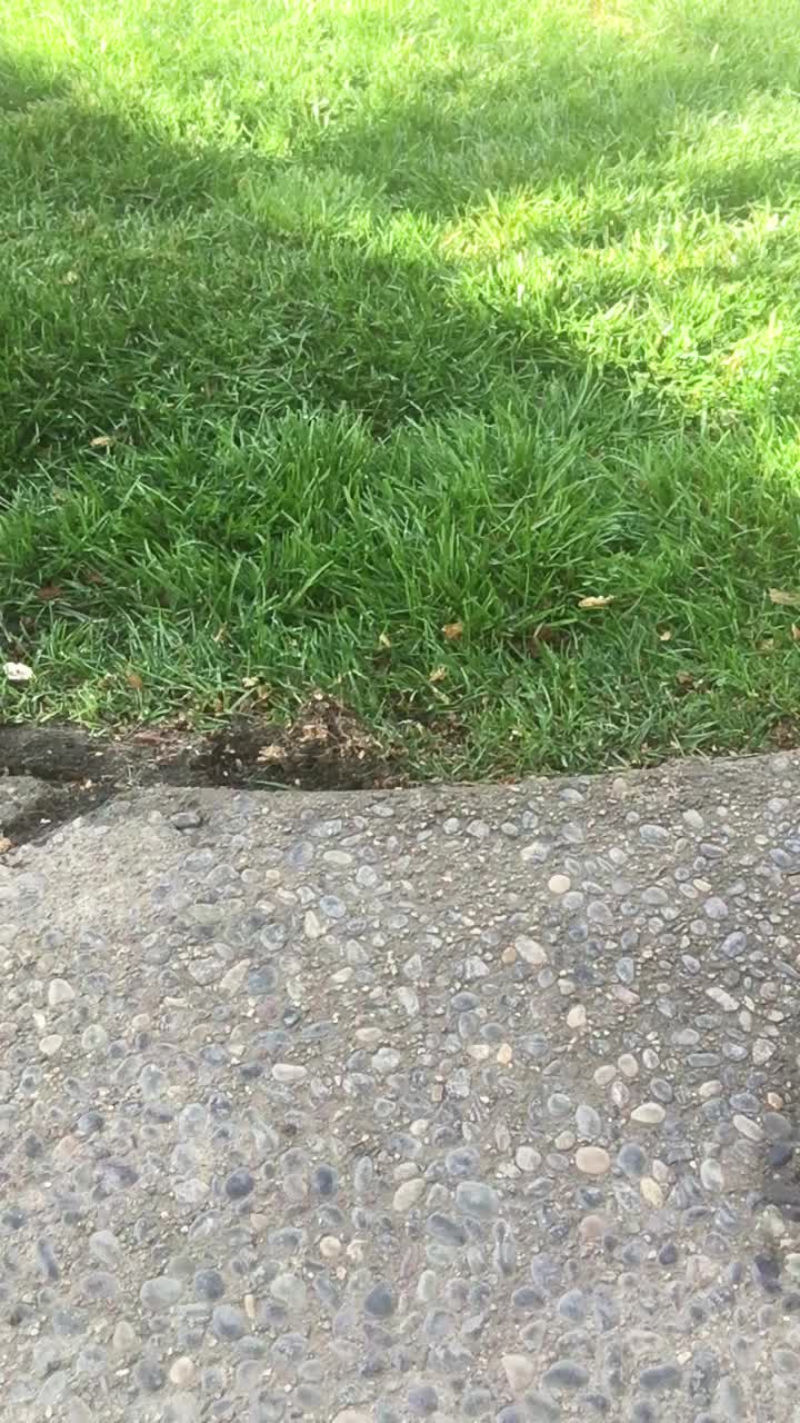 *Fantasy* You’re on a morning walk. You hear moaning behind a fence. You peek over. You see me squatting in a long blue satin nightie, seductively shifted to my thighs to expose my protruding pussy lips, sweetly spread. I’m spraying my first golden piss of the day. Do you knock or tug your cock? 😈