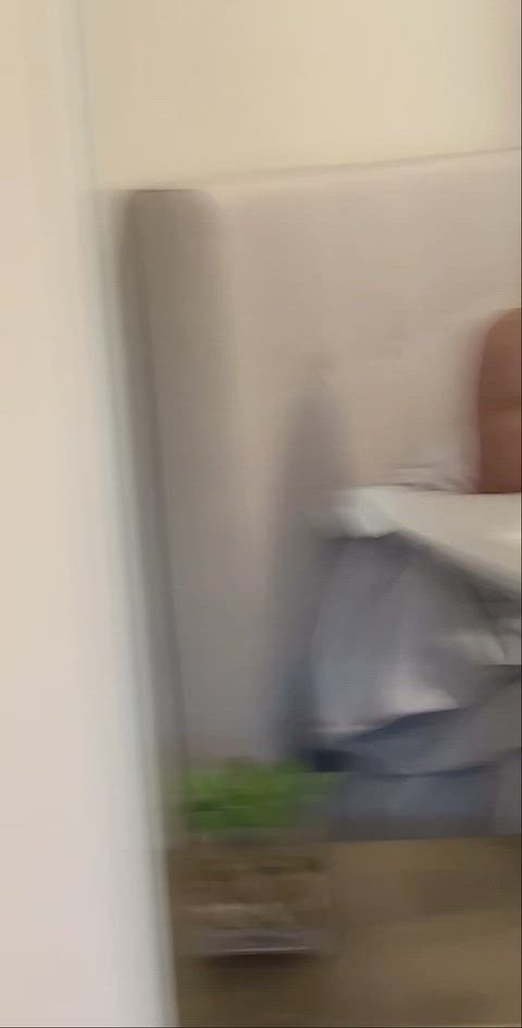 RewardingFlickeringSchipperke thumbnail