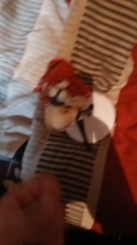 Another load for my favorite figure