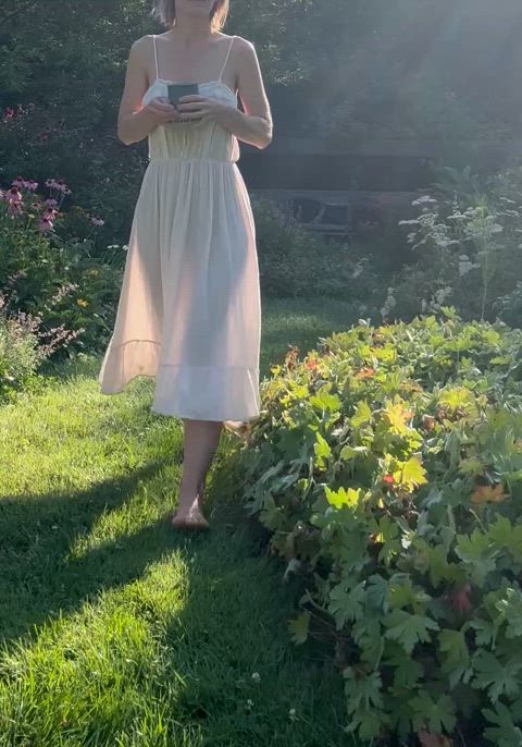 Early morning light