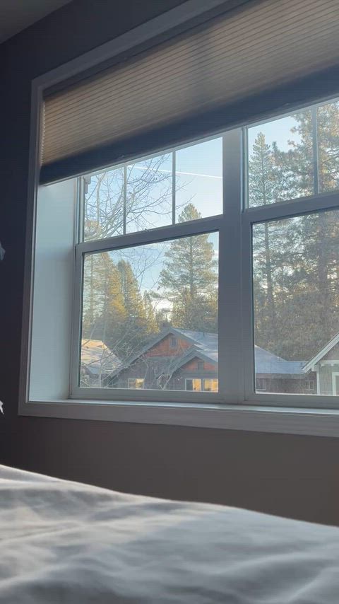 welcoming my new neighbors