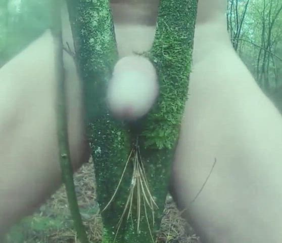 As wished by many, I'm giving back to nature.