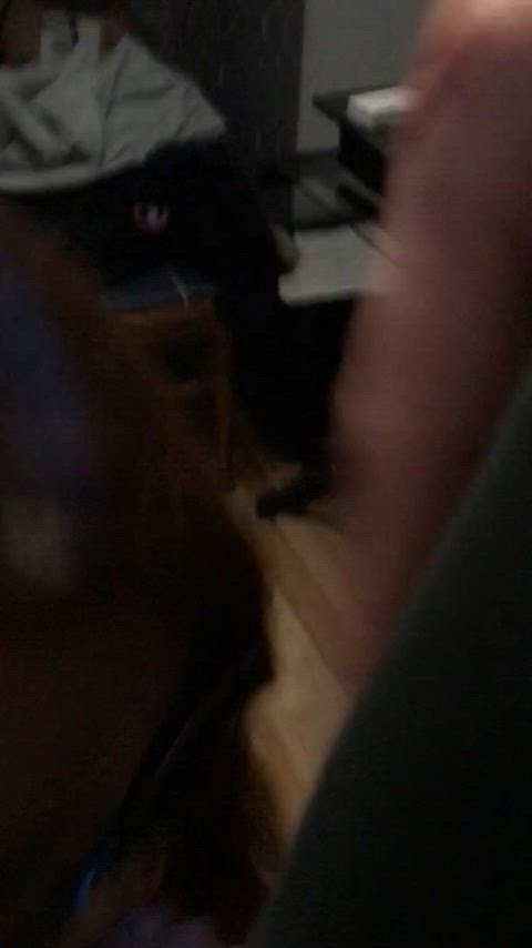 Asian teen sucks dick after class in a slutty black thong