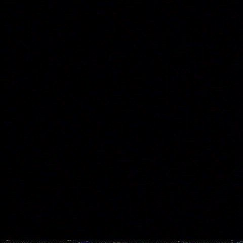 Porn GIF by xxxnanalover