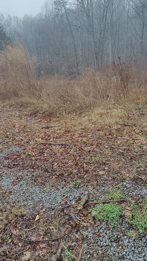 Wishing you were on you knees in front of me so I could piss in your mouth