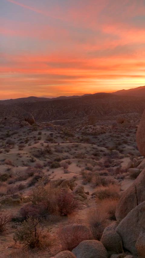 Naughty in the 🏜️