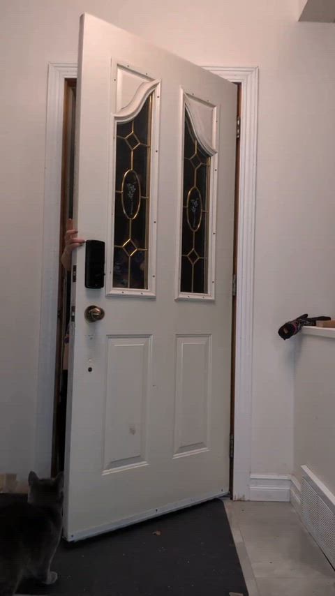 Coming home with a stapled pussy [F]