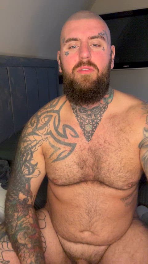 this bear needs some cuddle