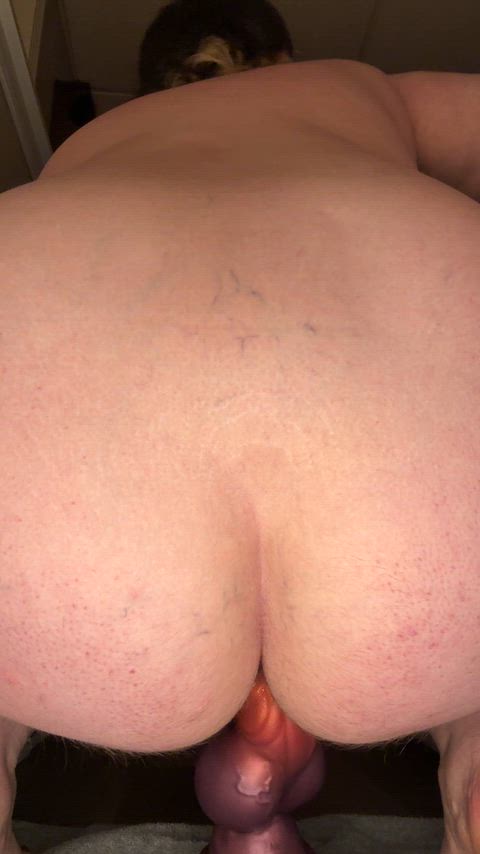 Wanna see me ride Fenrir from Bad Dragon? 🤭