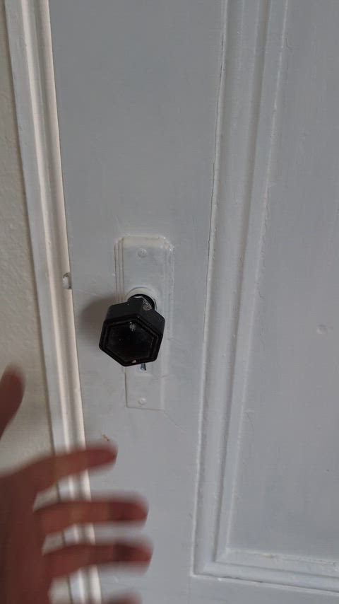 He's always interrupting my study!