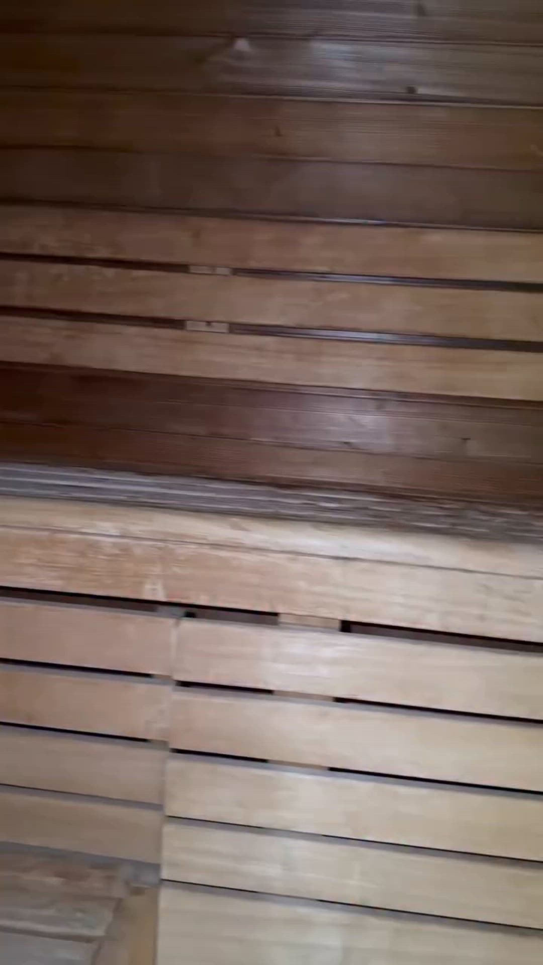 Hot and busty sauna