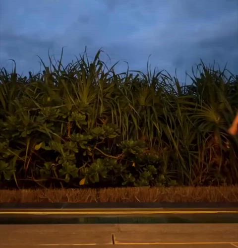 Karina, Ryujin y Han-Sua