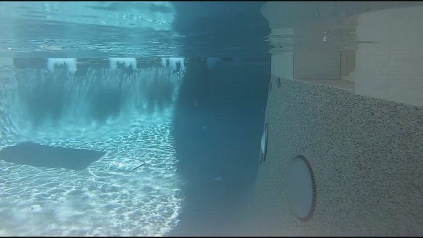 Ass Big Tits Pool Strip Swimming Pool Porn GIF by redrider45