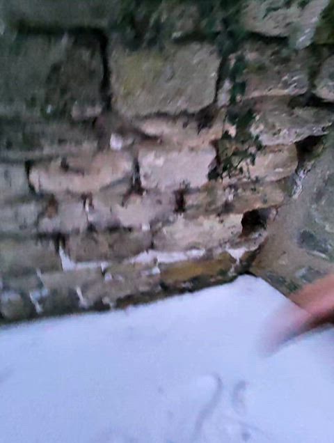 Wanted to piss in the snow and try my new RayBan Meta today