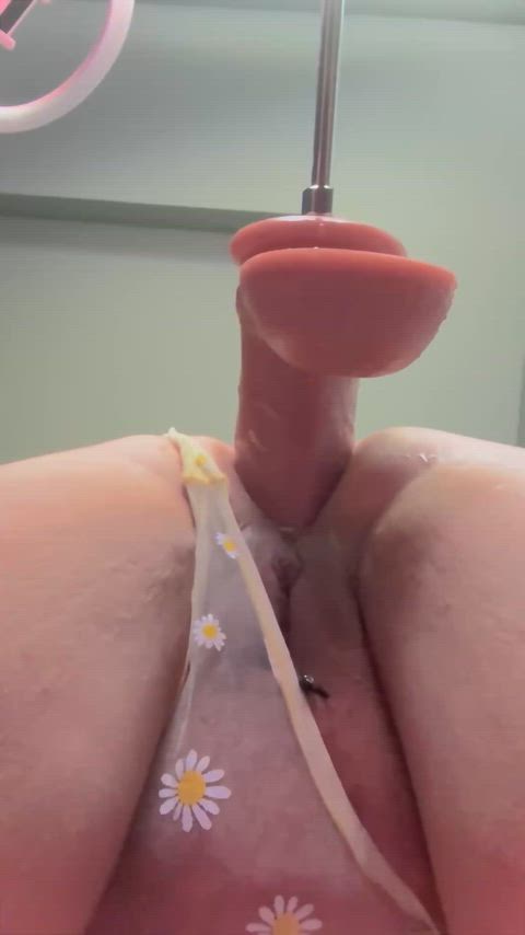 ScientificOblongAegeancat thumbnail