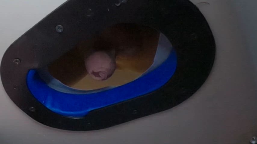 Our first milking table experience. Definitely not the last one