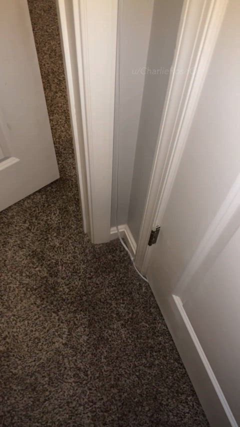He came in right when I was about to cum [Hitachi: Magic Wand]