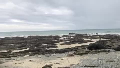 Jerked off at the beach in France last summer