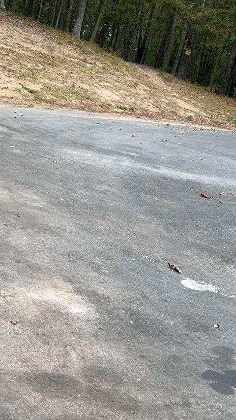 Do you like what you see on my morning routine…