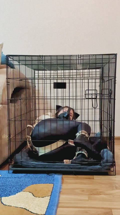 Past experience has taught me that when I’m bound in a straitjacket, the only way to get out of a cage is ass first