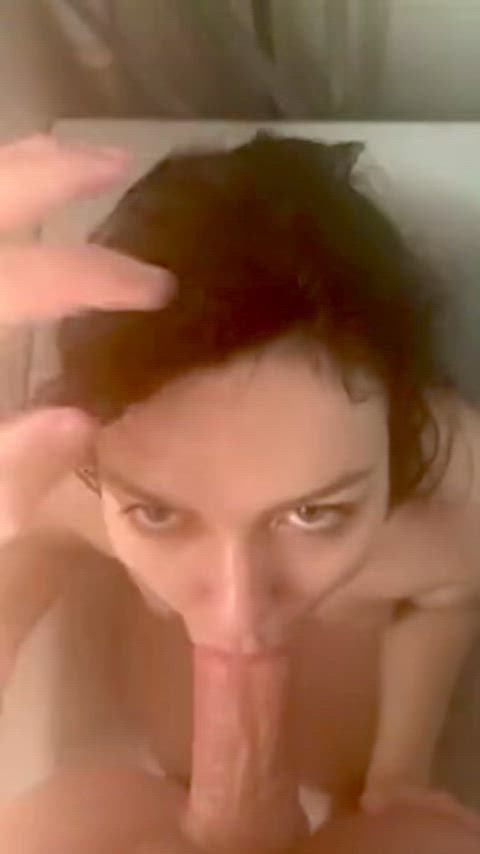 Amateur Blowjob Homemade Porn GIF by curlypigtail254