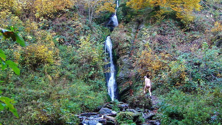 Searching for the source