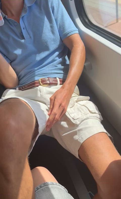 This is what I showed the agent when they asked for my train tickets…(25)