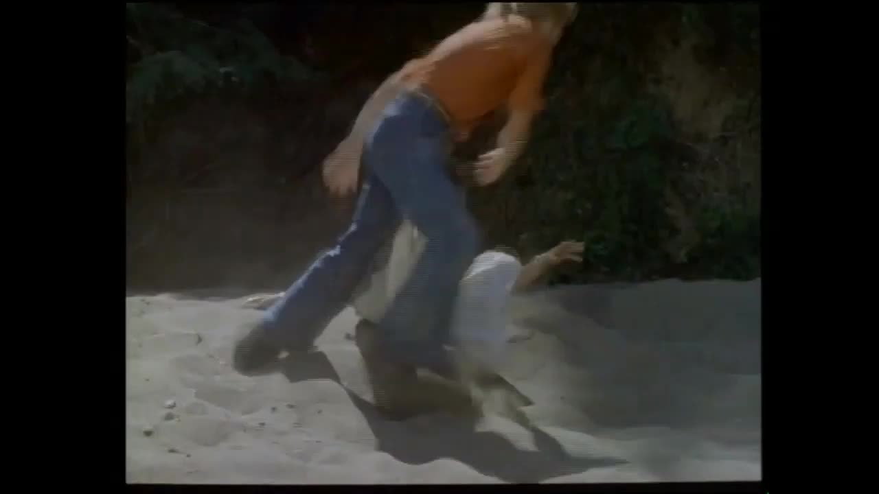 Kung fu fight but in sexploitation