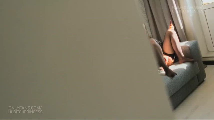 ShockingChillyRaccoon thumbnail