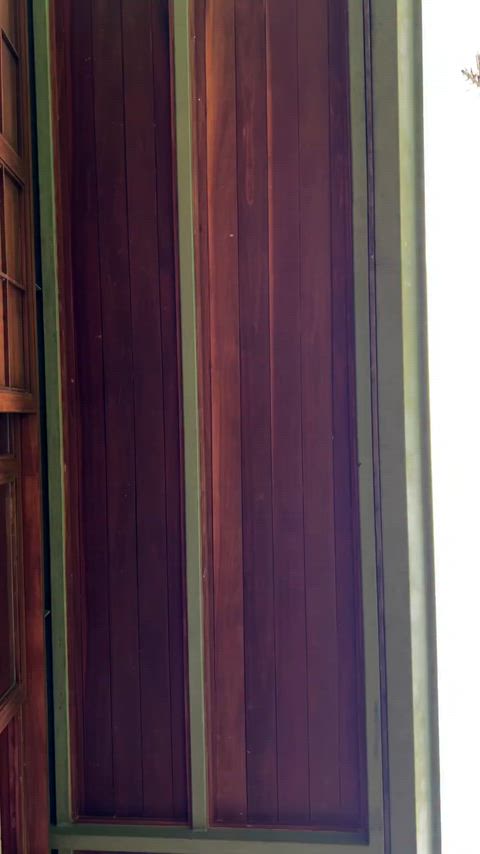 'Love yourself first each morning, romance yourself on every little date, and watch your confidence and beauty bloom from within.' - IG November 2025