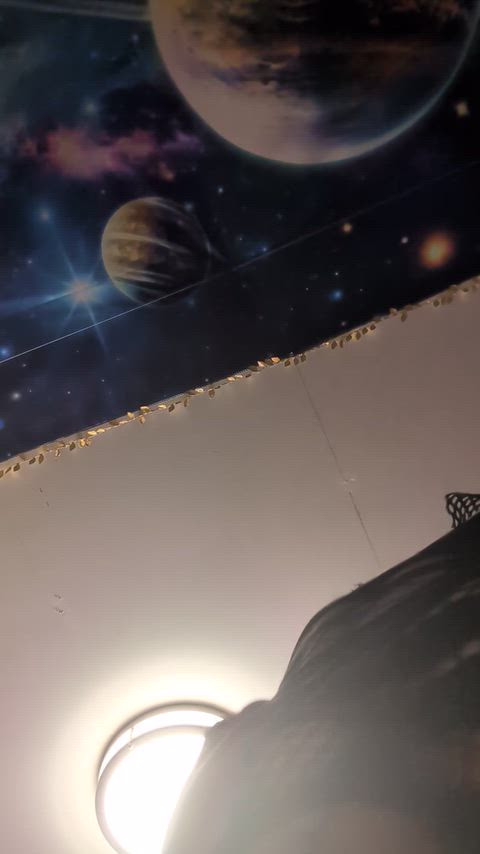 ShowySpicyRoach thumbnail