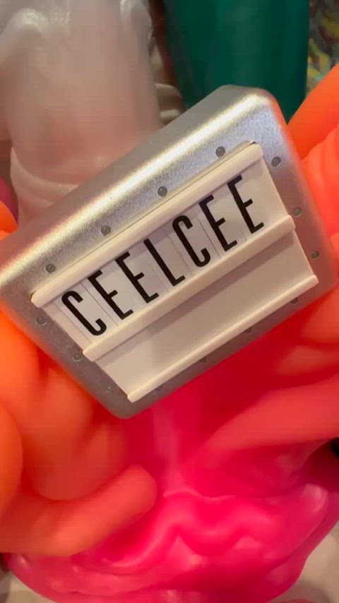 Happy New Year! Here is my updated fantasy toy collection for the end of 2025 ✨