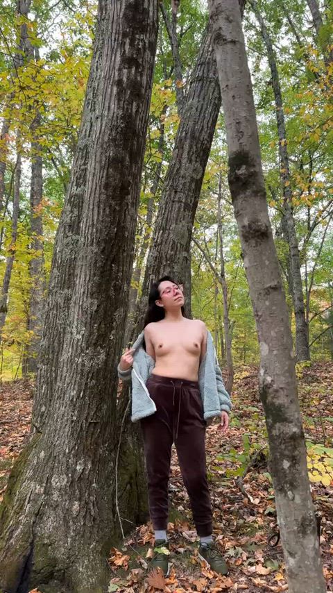SkinnyWoefulTowhee thumbnail