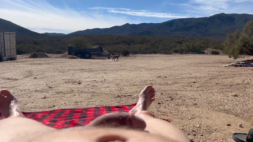 Tanning w/ Coyote (51, 6', 170lbs)