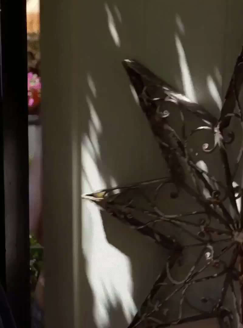Californication S06E05 Meghan Falcone as Shari ENHANCED 1080p