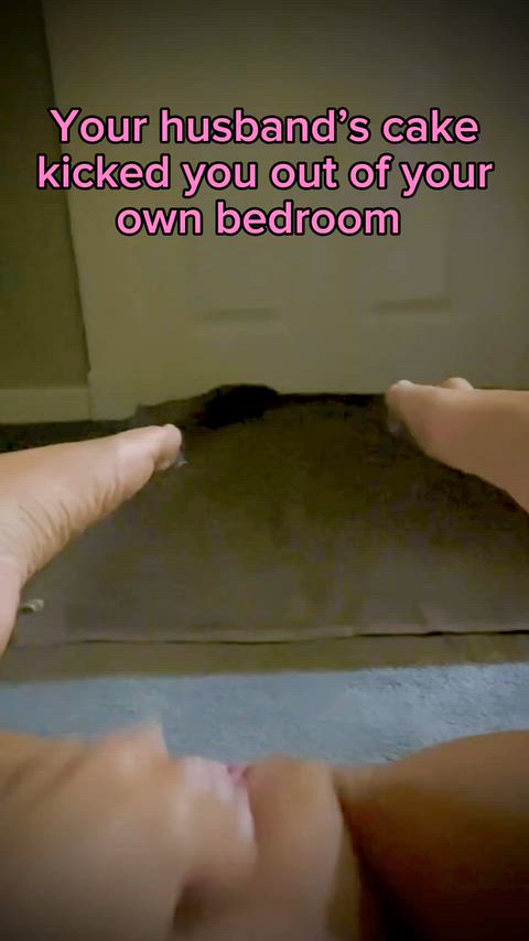 SlipperyTidyQueenslandheeler thumbnail