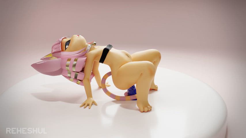 Kitty training (Reheshul)