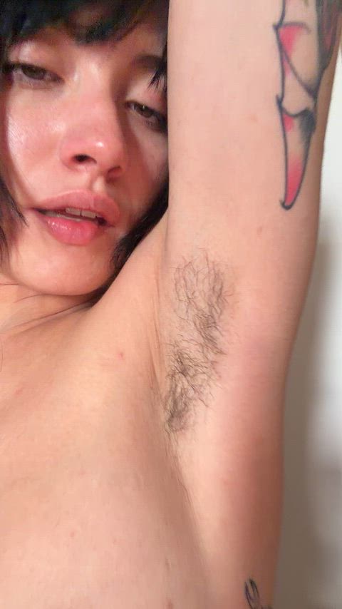 SmallNaughtyZethusspinipes thumbnail