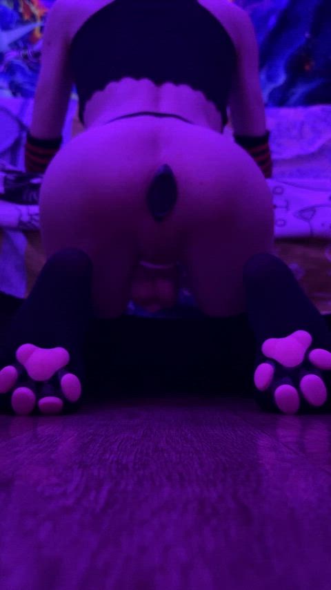 Need a good pup to lick this pie clean >:3