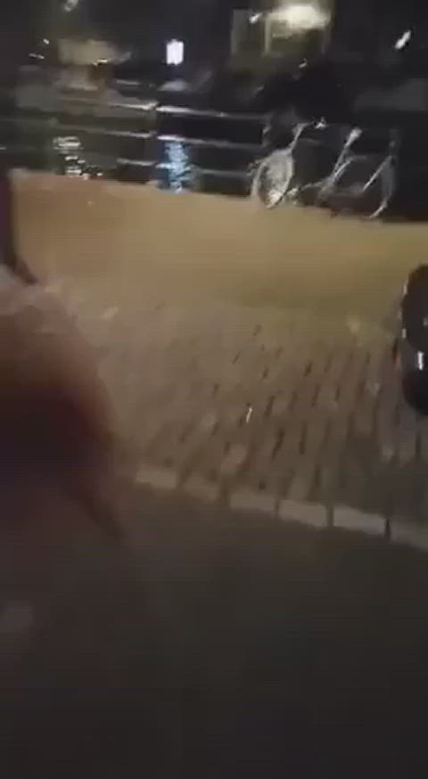 British Caught Doggystyle Exhibitionism Exhibitionist Exposed Public Sex r/CaughtPublic r/ExposedToStrangers Porn GIF by populardick