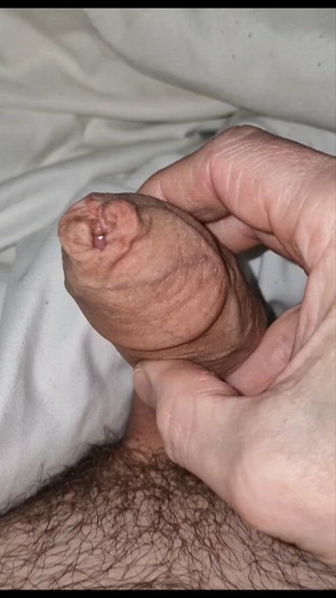 Head reveal and bloom (50)